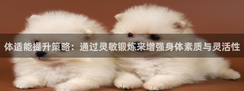 三亿体育：体适能提升策略：通过灵敏锻炼来增强身体素质与灵活性