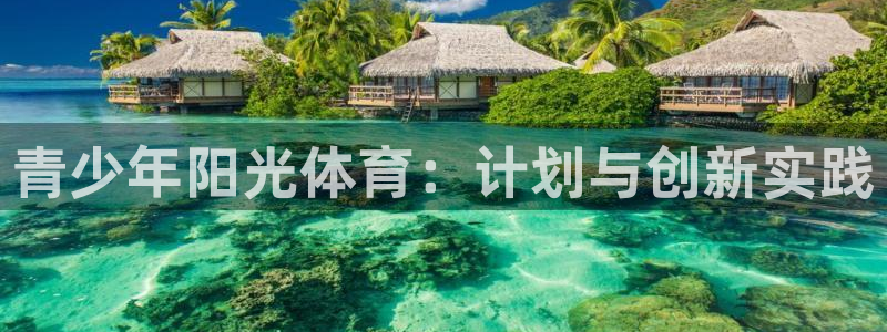 三亿体育网页版：青少年阳光体育：计划与创新实践