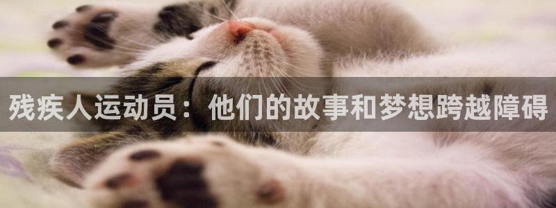 三亿体育登录：残疾人运动员：他们的故事和梦想跨越障碍