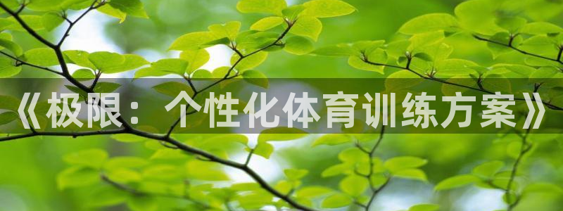 三亿体育网：《极限：个性化体育训练方案》
