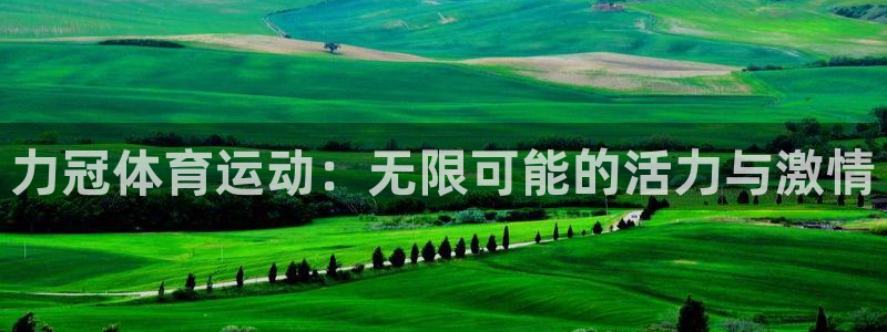 三亿体育网页版：力冠体育运动：无限可能的活力与激情