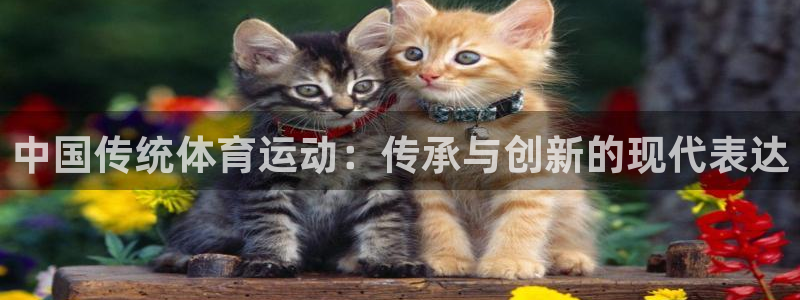 三亿体育：中国传统体育运动：传承与创新的现代表达