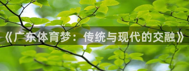 三亿体育网页版：《广东体育梦：传统与现代的交融》