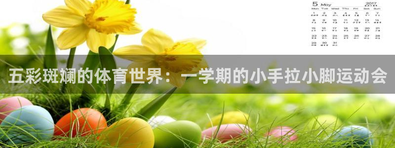三亿体育网页版：五彩斑斓的体育世界：一学期的小手拉小脚运动会