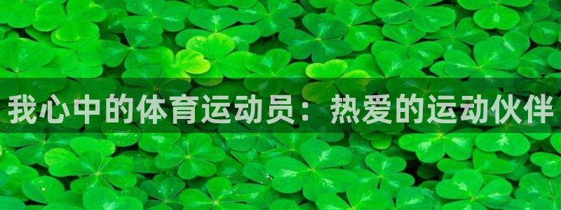 三亿体育登录：我心中的体育运动员：热爱的运动伙伴